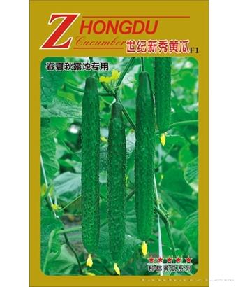 世纪新秀