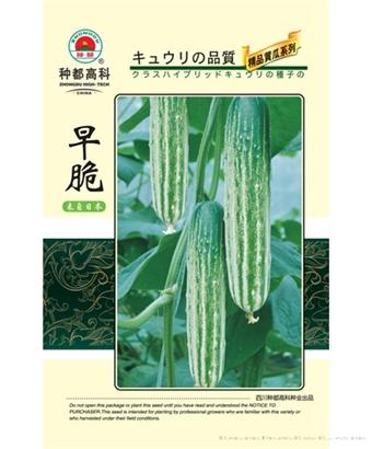 早脆
