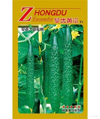 早优黄瓜
