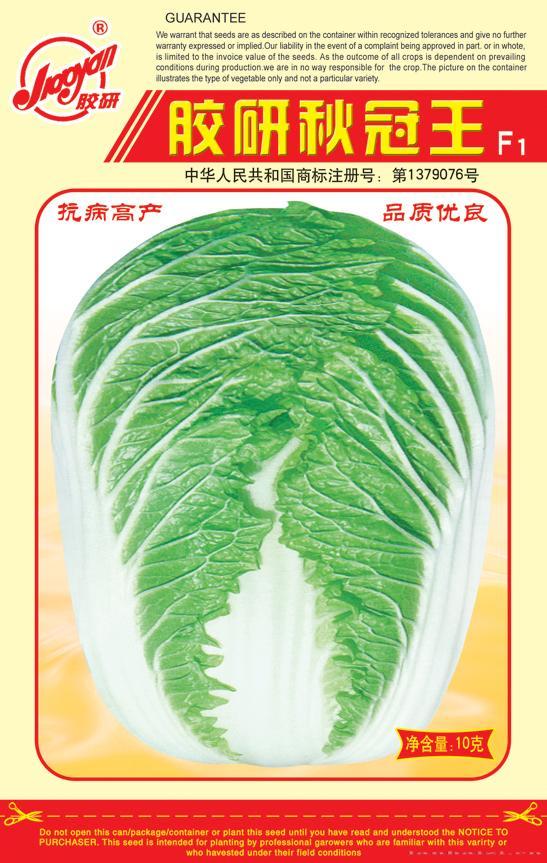 胶研秋冠王——秋播白菜