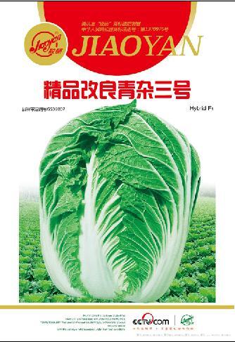 精品改良青杂三号——秋播白菜