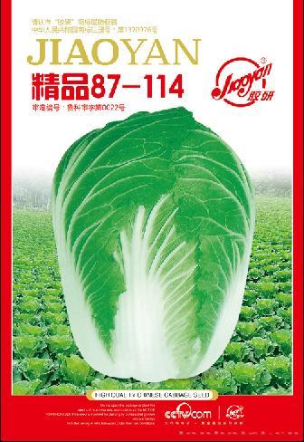 精品87-114——秋播白菜