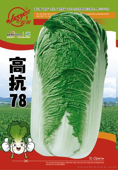 高抗78——秋播白菜