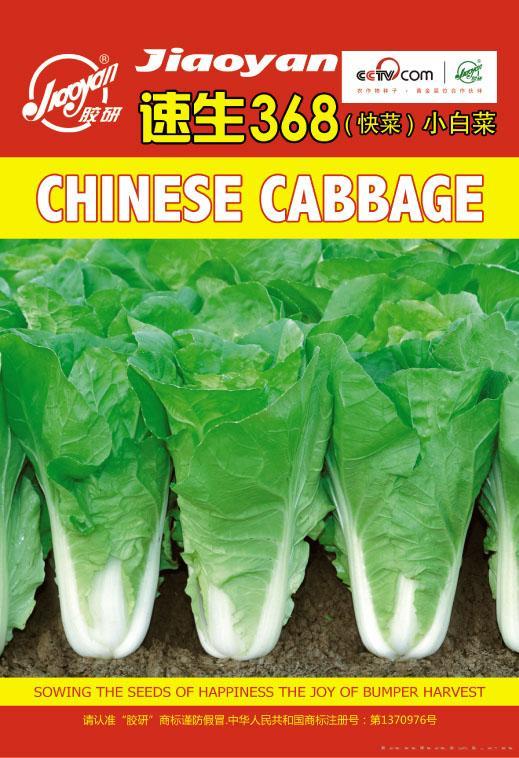 速生368（快菜）小白…——速生小白菜