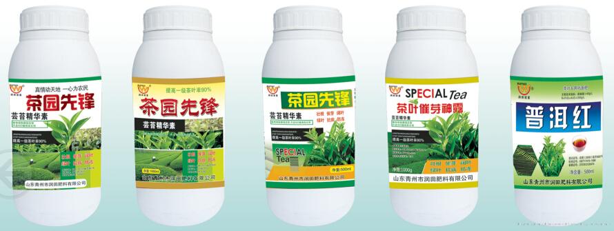 茶叶专用瓶装系列3