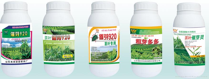 茶叶专用瓶装系列1