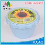  DIY园艺产品 梦幻花园01款栽培系列 观赏向日葵