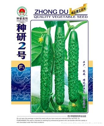 种研2号