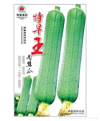特早王肉丝瓜