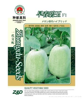 早春碧玉