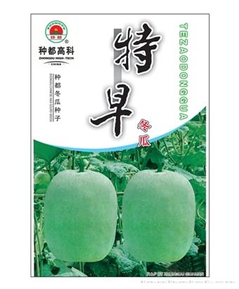 特早冬瓜