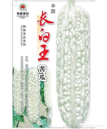 长白王