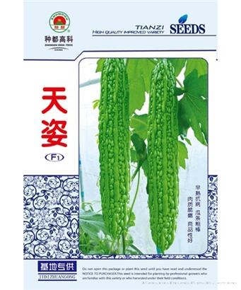 天姿