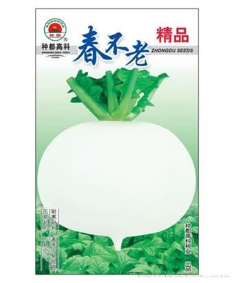 春不老