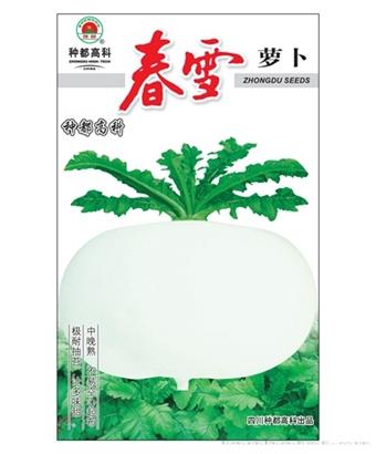 春雪