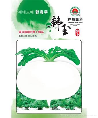 韩玉