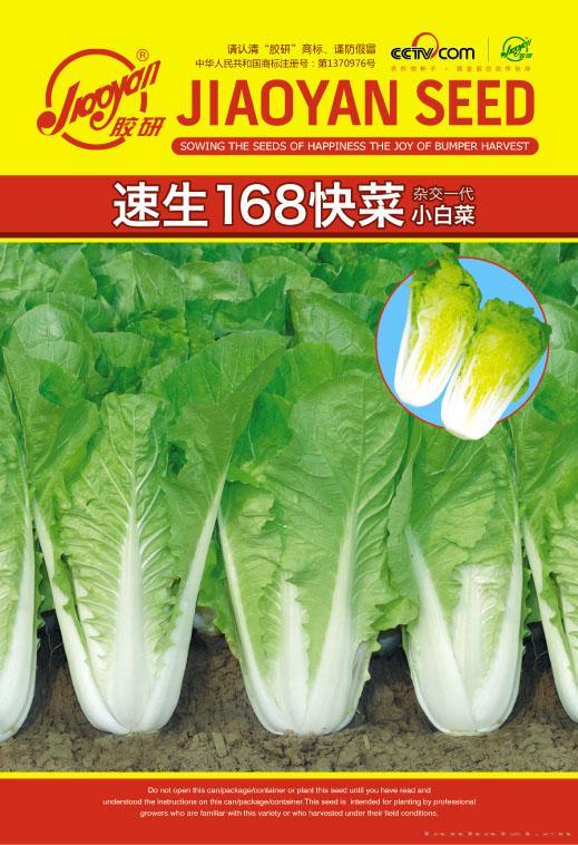 速生168快菜小白菜——速生小白菜