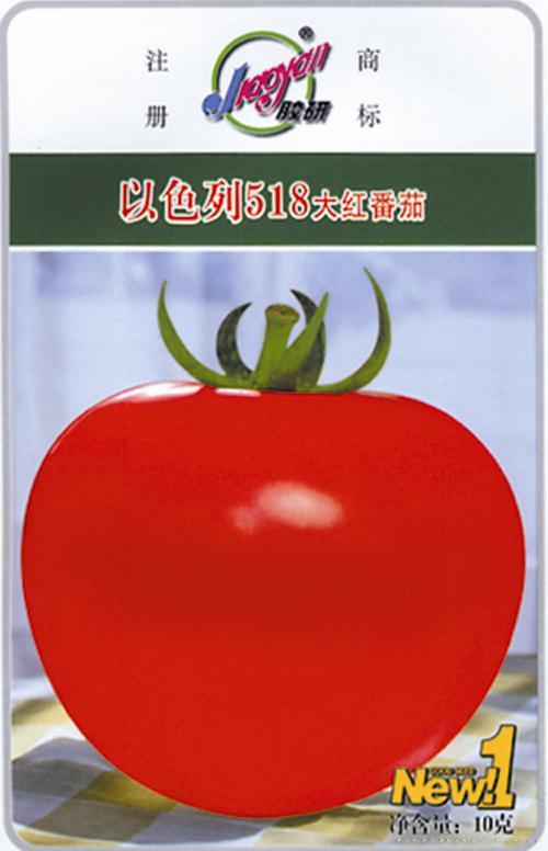 以色列518大红番茄——番茄