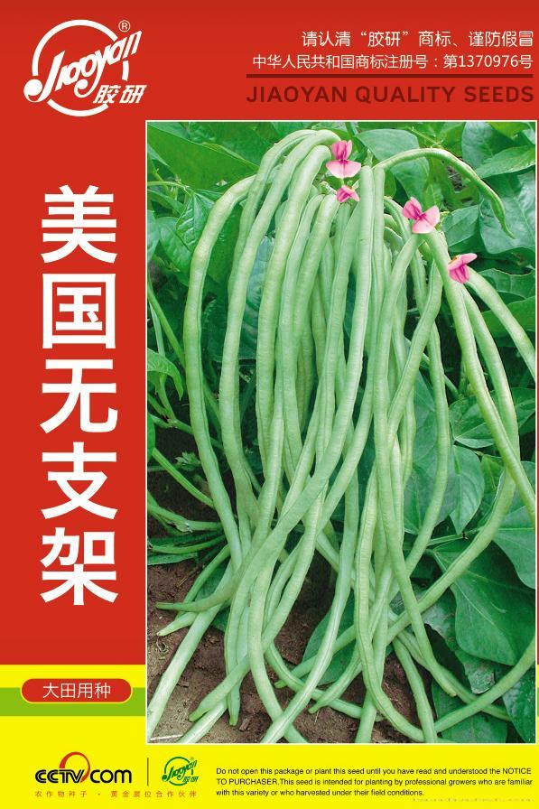 美国无支架——豆类