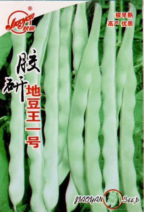 地豆王一号——豆类