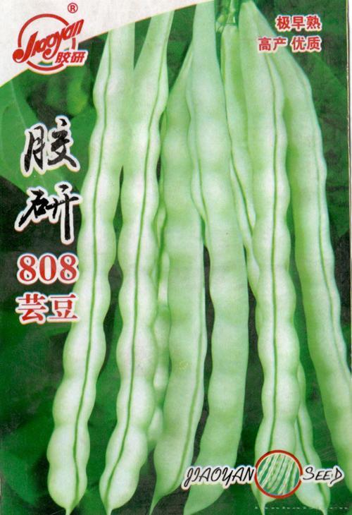 胶研808芸豆——豆类