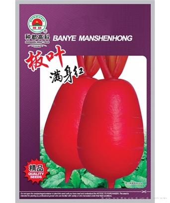 板叶满身红