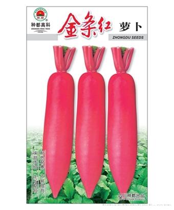 金条红