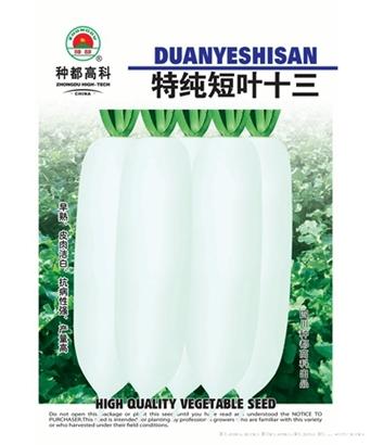特纯短叶十三