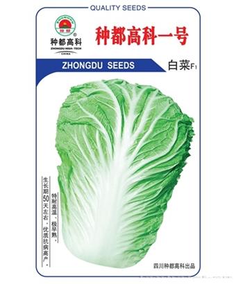 种都高科一号