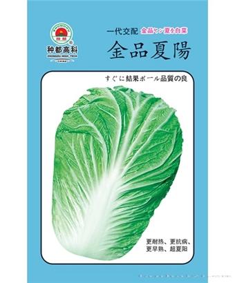 金品夏阳