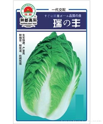 瑞丰