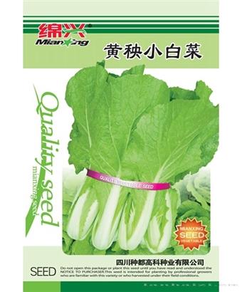 黄秧小白菜