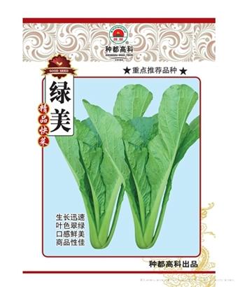 绿美