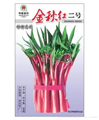 金秋红二号