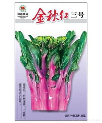 金秋红三号