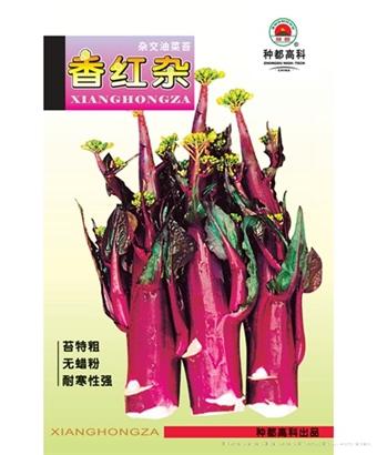 香红杂