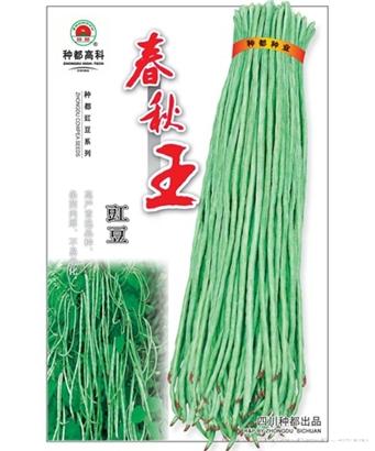 春秋王