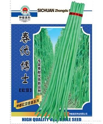 春优博士
