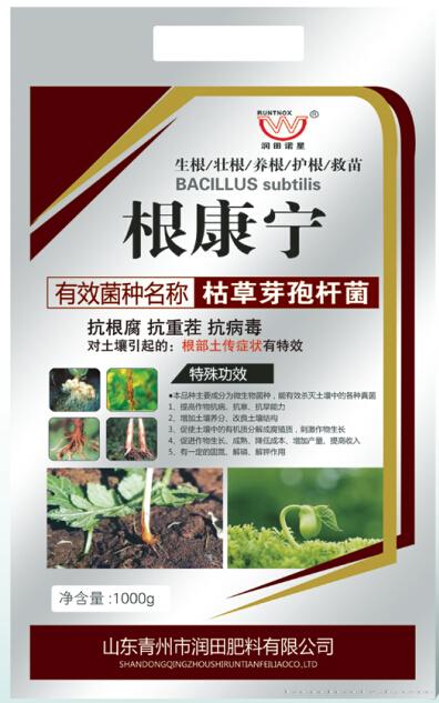 根康宁