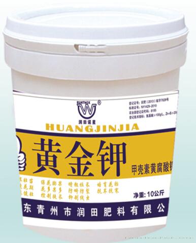 绿叶先锋