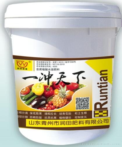 一冲天下
