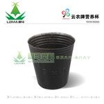 批发营养杯9x9x10000 育苗杯 营养钵