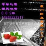 长期供应草莓专用银黑地膜 1.2m