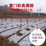 种植果树用银黑反光地膜1.2m