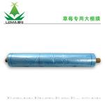 草莓种植专用大棚膜 2年防老化 流滴减雾 草莓膜