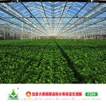[雷马塑料]加拿大赛瑞斯F203连栋温室大棚膜 