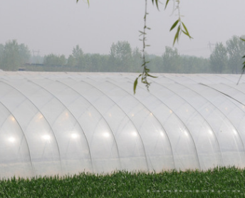 高质量草莓专用膜 防紫外线 长寿 农用塑料保温大棚膜 温室大棚膜