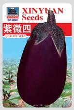 供应紫薇四—茄子种子