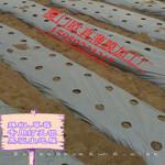 草莓专用银黑打孔地膜0.8m