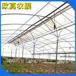 明农用仙草专用大棚地膜